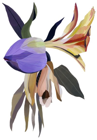 Image inconnue - Unbekannt Unbekannt